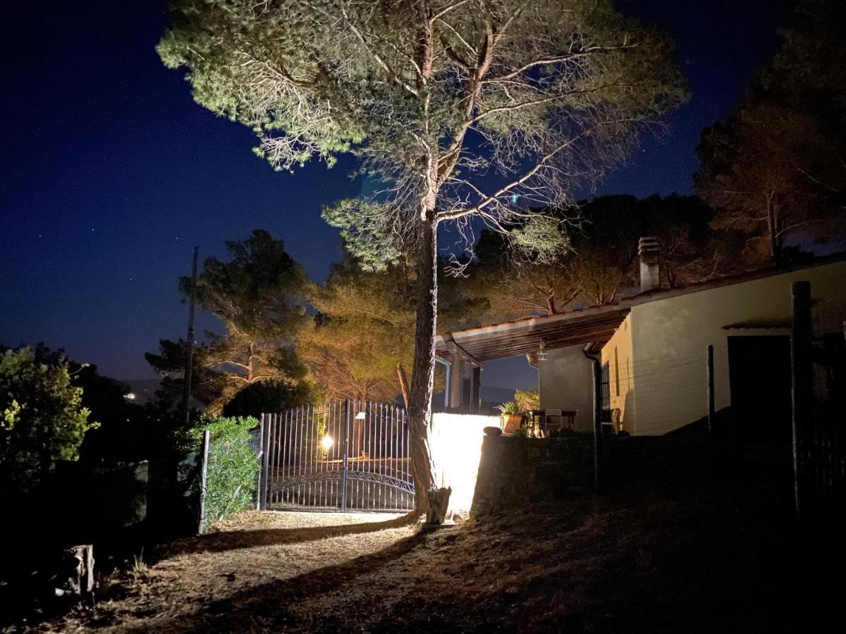 Elba Villa Colle - Nel Verde Ma Vicina Al Mare Марина ди Кампо Екстериор снимка