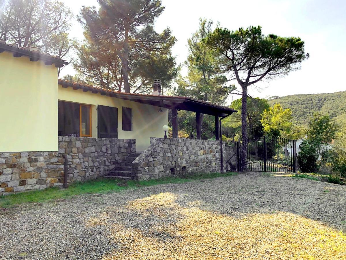 Elba Villa Colle - Nel Verde Ma Vicina Al Mare Марина ди Кампо Екстериор снимка